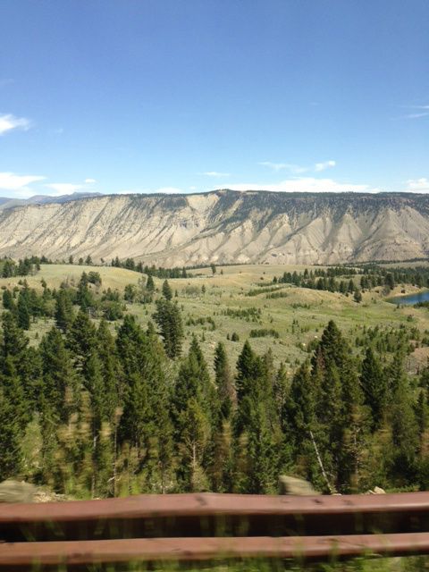 Just some of the Yellowstone beauty you see as you drive.